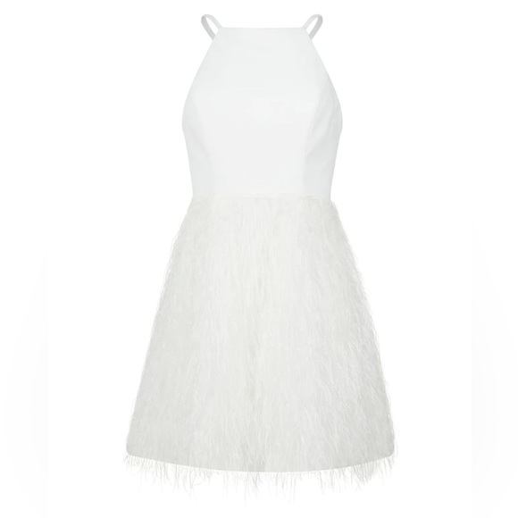 BCBGMaxazria Ilara Feather Mini Dress - Worn Once! - Picture 4 of 4